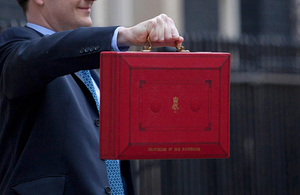 The budget 2015